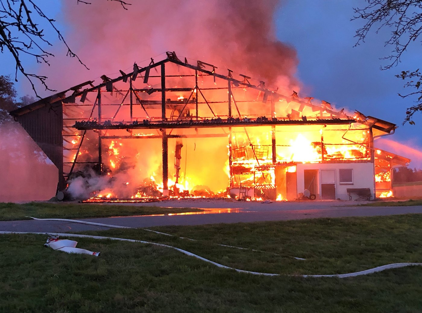 Für den Brand im Weiler Kaltbrunnen sucht die Polizei Zeugen. (Bild Kapo TG)