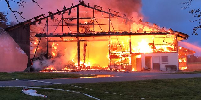 Für den Brand im Weiler Kaltbrunnen sucht die Polizei Zeugen. (Bild Kapo TG)