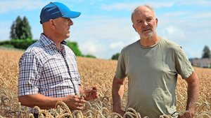 Lukas Kilcher (links Lukas Kilcher (links) und Alfred Schädeli im Bio-Weizen. Wir haben die beiden zum Austausch – mit Blick in die Zukunft – getroffen.