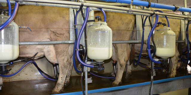 Die öffentliche Publikation der Preise ist aus Sicht von Produzentenvertretern ungünstig, hingegen sollen die Produzenten intern transparent informiert werden. (Bild Aline Küenzi)