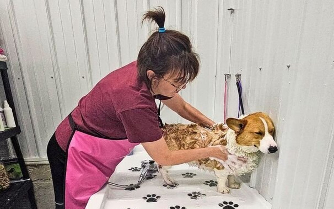 Melanie Annegers-Reinmann legt in der Hundepension auch am Sonntag Hand an: Bevor der Ferienhund wieder nach Hause fährt, wird er noch gründlich gewaschen.  