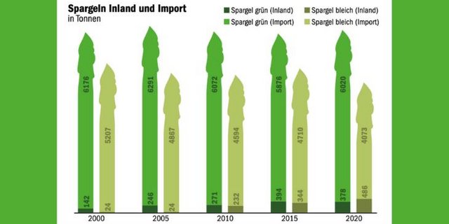 Bei Spargeln ist der Anteil aus Schweizer Produktion auf dem inländischen Markt generell klein. (Grafik mi/Daten SZG)