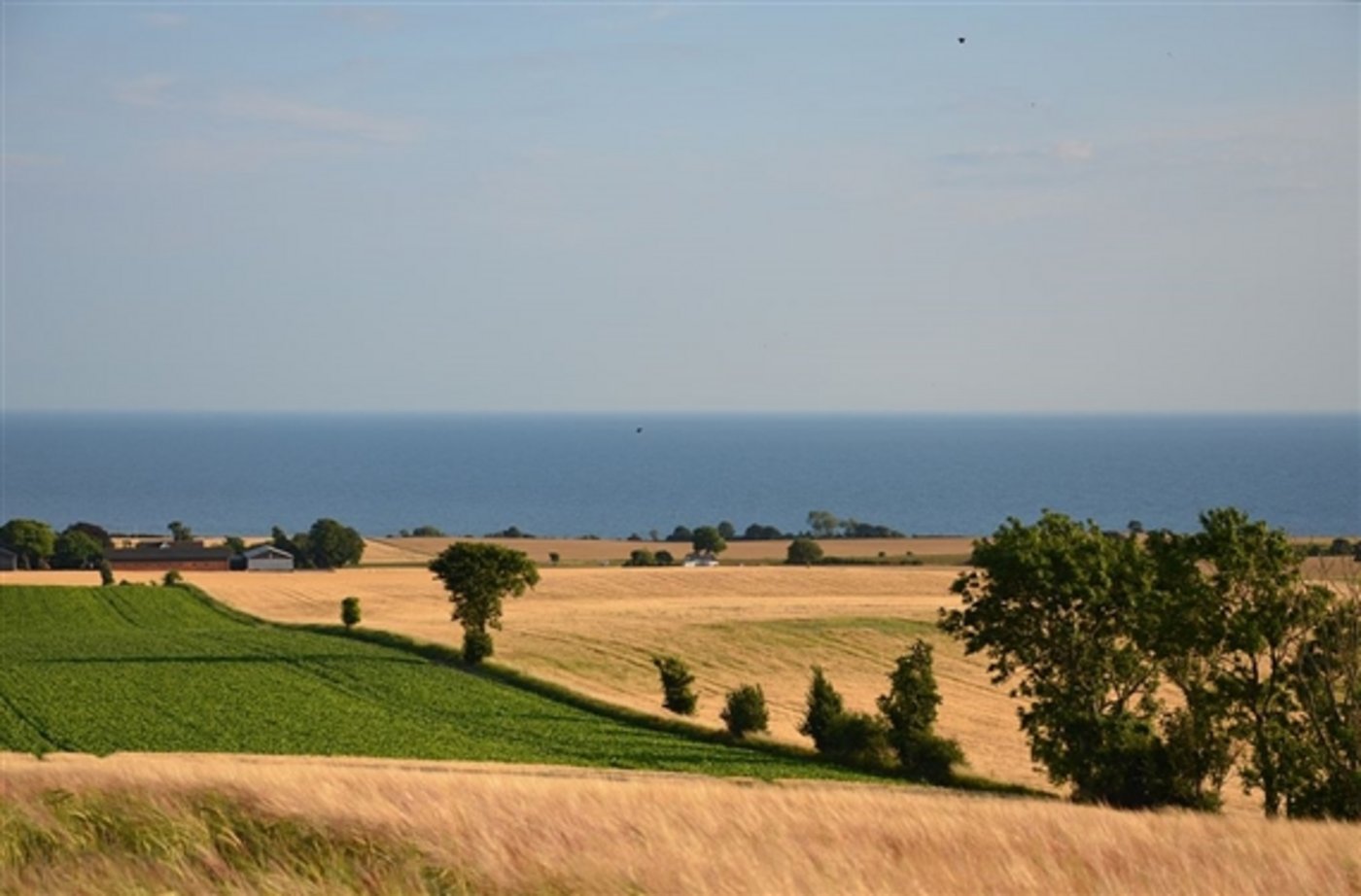 Idyllische dänische Landschaft: Die Bauern sehen ihre Zukunft auch wieder rosiger als auch schon. (Bild rene.kernen) 
