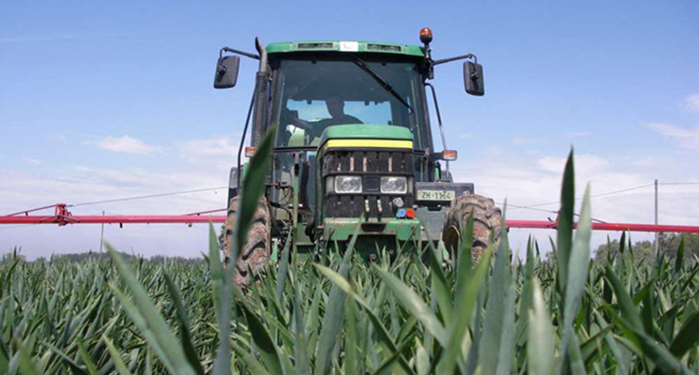 Der SOBV unterstützt den Schweizer Bauernverband im Aufruch zu einem freiwilligen Verzicht auf Fungizide mit dem Wirkstoff Chlorothalonil. (Bild SOBV)
