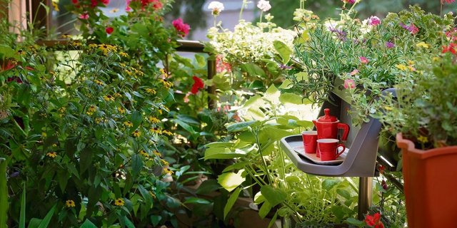 Die goldene Regel lautet: Ein möglichst langes, vielfältiges Blühangebot schaffen.