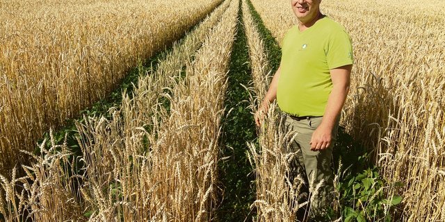 Biolandwirt Christian Uebelhard aus Niederbipp BE baut seit drei Jahren versuchsmässig Weizen mit Soja an. (Bilder Katrin Erfurt)