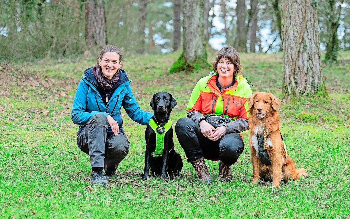Marie-Sarah Beuchat mit Abby und Denise Karp mit Kjell vom Team der Artenspürhunde Schweiz (v. l.).  Jelena Mausbach, Mitgründerin des Vereins, fehlt auf dem Foto. 