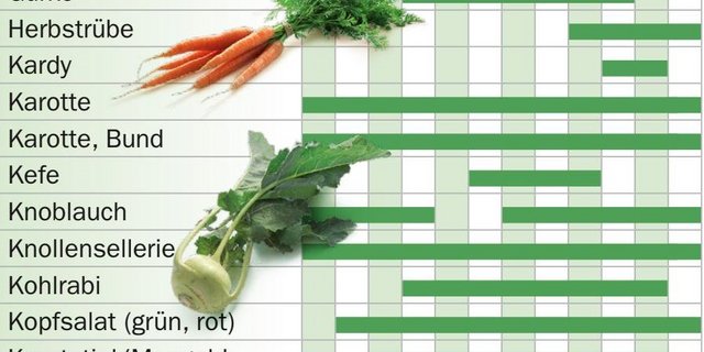 Karotten haben das ganze Jahr Saison, Kohlrabi von April bis November. (Bild Screenshot Verband Schweizer Gemüseproduzenten)