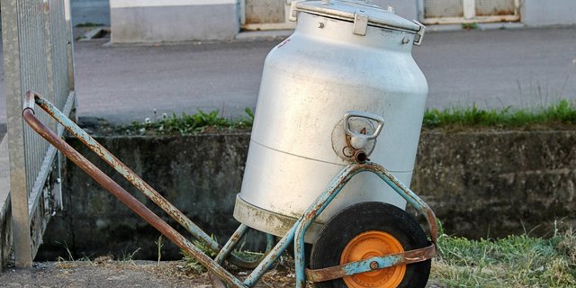 Die Diskussionen rund um den Milchpreis erhitzen die Gemüter. (Bild pixabay)