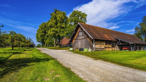 Der Bundesrat will den Bauernfamilien trotz Sistierung der AP 22+ einen besseren Sozialversicherungsschutz gewährleisten. (Bild Pixabay) 