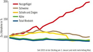 Die Tierzahlen nehmen tendenziell ab, grosse Ausnahme bleibt wegen steigender Nachfrage die Nutzgeflügel-Kategorie.