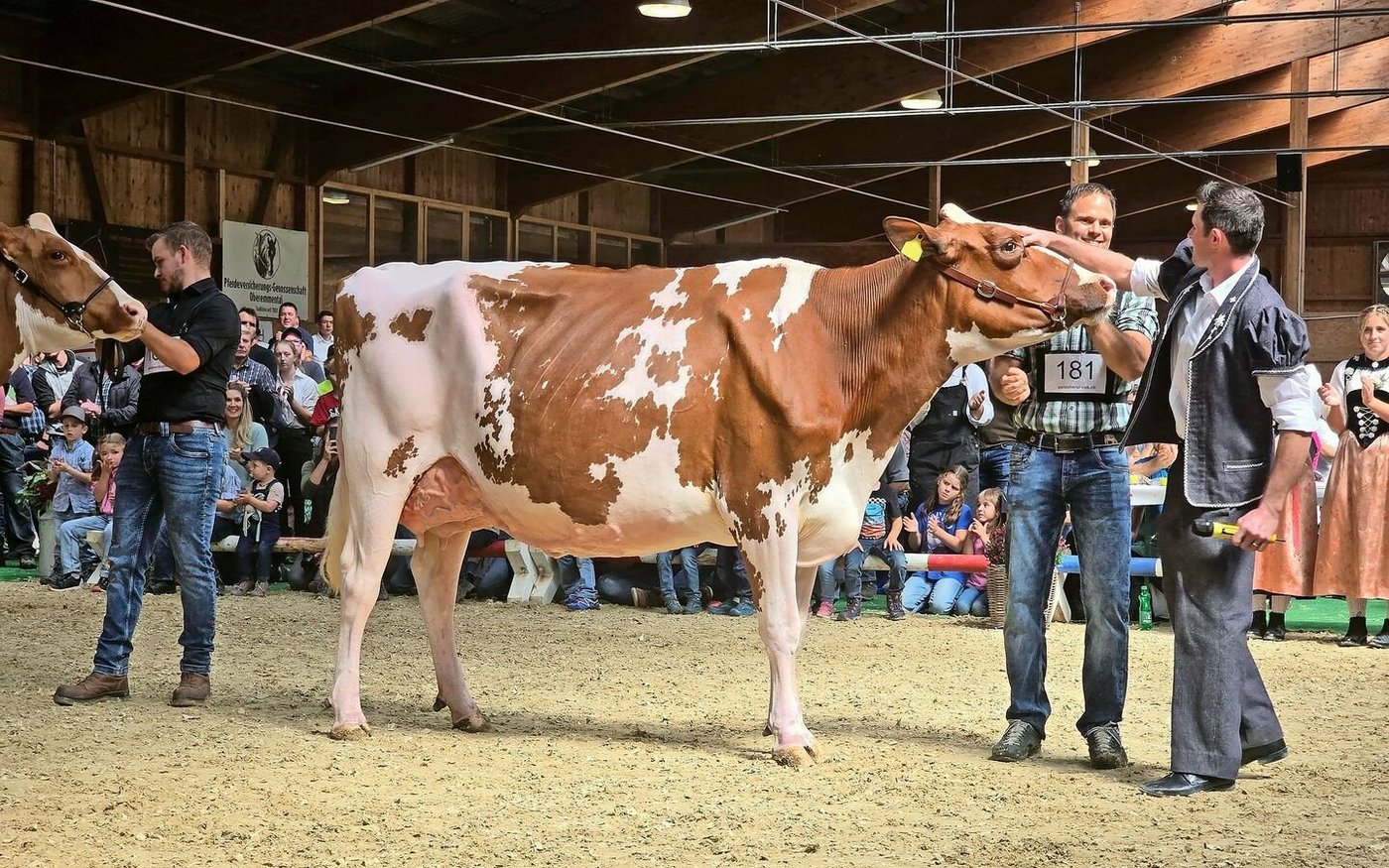 Richter Christian Schuwey liess sich von der RH-Kuh SomSiNi Agent Sidney von Simon und Nicole Sommer begeistern und krönte sie zur Miss.
