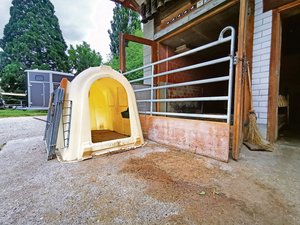 Kälberaufzucht: Hat das Iglu ausgedient? Ginge es nach der Meinung der Konsumenten oder des privaten Tierschutzes, sollten Kälber nicht (lange) in Einzeliglus gehalten werden können. (Bild sb)