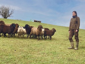 Natalie Müller züchtet gemeinsam mit ihrem Mann Engadinerschafe und Skudden. Hier mit der gemischten Bockherde in Oberweningen.  (Bild Alexandra Stückelberger)