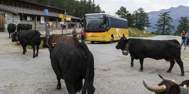 Mit dem Postauto lässt es sich gut zum Hof reisen. (Agrotourismus Schweiz)