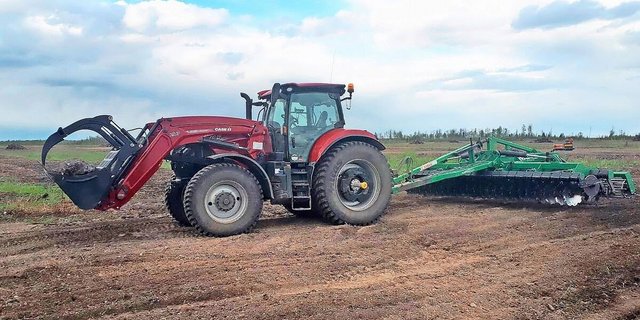 Auch in Kanada stehen die Frühlingsarbeiten an. Das frisch gerodete Feld wird mit der Egge bearbeitet, damit später Futter für die Kühe eingesät werden kann.