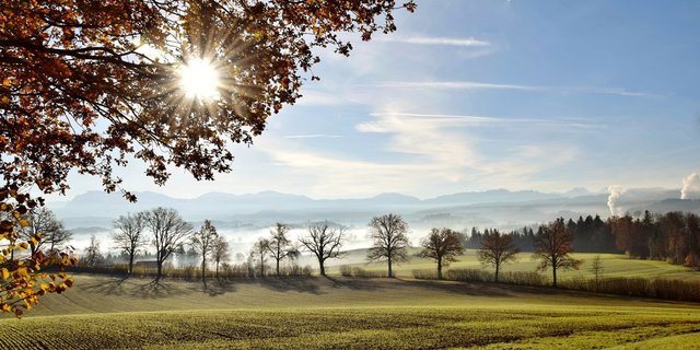 Ökonomischer Sonnenschein trotz Trockenheit: Die Einkommen legten 2018 zu. (Bild Archiv)