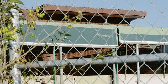 Ausläufe, vor allem in Gebieten mit Wildschweinen, gehören grundsätzlich professionell umzäunt.