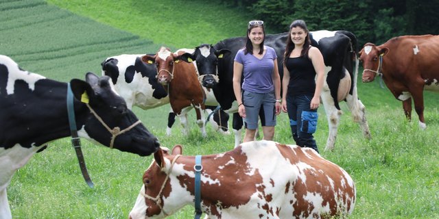 Die Geschwister Belser inmitten ihrer Lieblingstiere. (Bild rae)