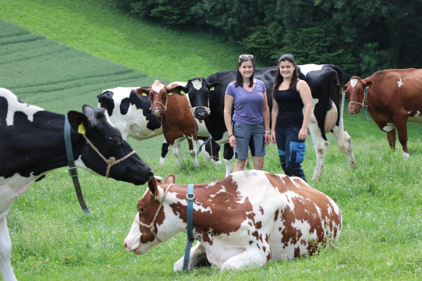 Die Geschwister Belser inmitten ihrer Lieblingstiere. (Bild rae)