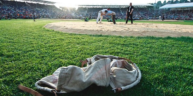 Migros ist Königspartnerin des ESAF 2019. (Bild obs / Migros-Genossenschafts-Bund)