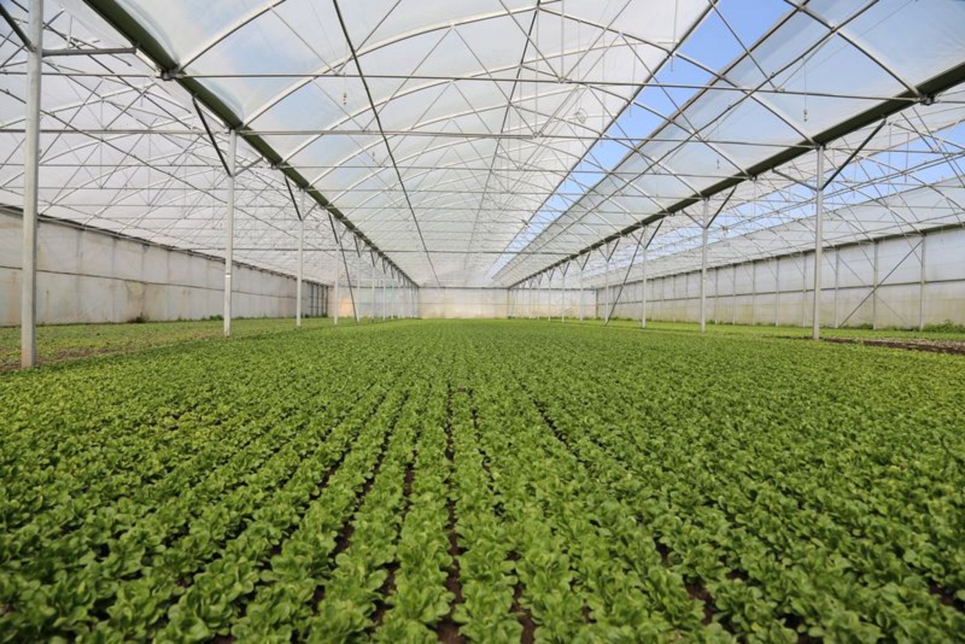 Michael Mosers Betrieb liegt in Kerzers. (Bilder ji) 