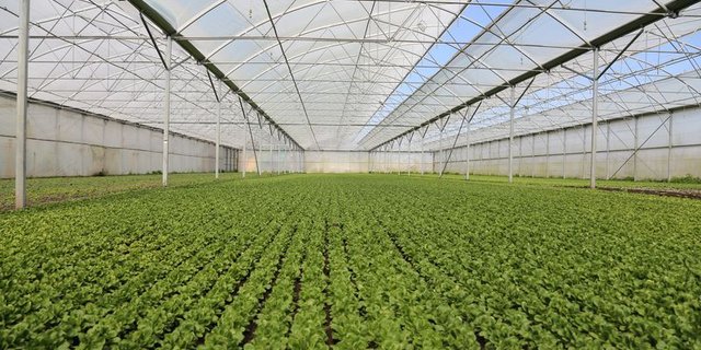 Michael Mosers Betrieb liegt in Kerzers. (Bilder ji) 