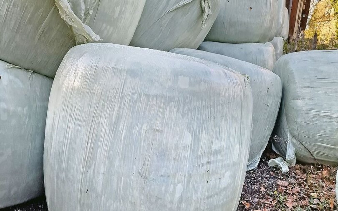 Die Novemberballen liegen am Haufen. Sie sollten aufgrund des hohen Proteingehalts an laktierende Kühe verfüttert werden.