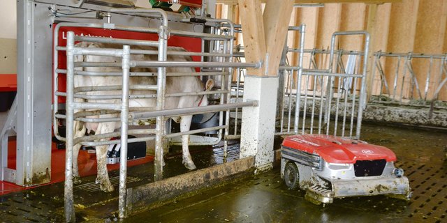 Ein Melkroboter gehört heute auf den grösseren Betrieben schon fast zum Standard. (Bild pf)