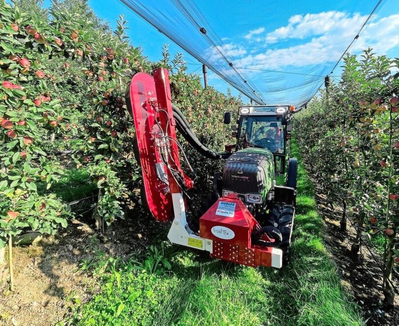 Das Entlaubungsgerät im Einsatz. Mit Lufdruck werden die Blätter zerfetzt, das bringt mehr Farbe an die Früchte. 