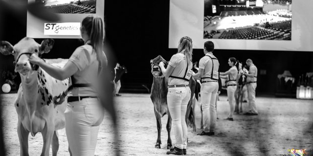 Der Entscheid über die definitive Durchführung wird Mitte Januar gefällt. (Bild Swiss Expo 2020)