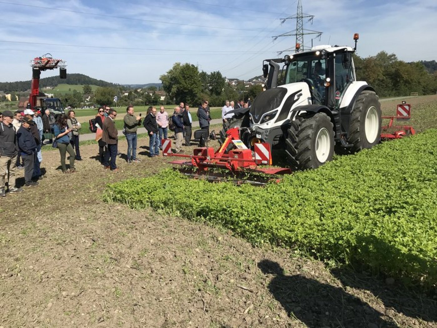 Der gezielte Einsatz von Messerwalze und Scheibenegge reduziert den Kraftstoffverbrauch und Pflanzenschutzmitteleinsatz. (Bild BBZ Arenenberg)
