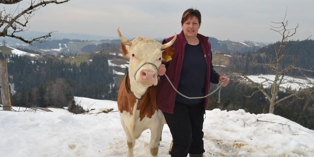 Kathrin Berger aus dem emmentalischen Oberfrittenbach BE ist Präsidentin des Schweizerischen Hinterwälder-Zuchtvereins. Sie ist eine leidenschaftliche Züchterin. An der Halfter hält sie die Falber-Tochter Luana, welche in der ersten Laktation mit 83 Punkten beurteilt wurde. Heinz Dubler ... (Bilder Peter Fankhauser)