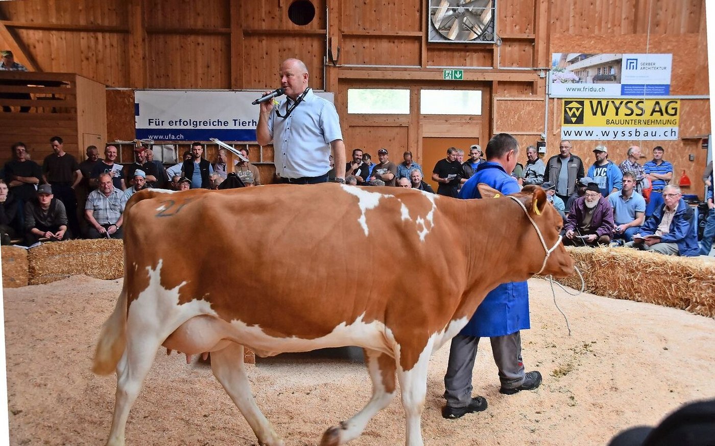 Die Bio-Kuh Baluba Troja von Bernhard Wüthrich aus Trub erzielte mit 4700 Franken den Tageshöchstpreis. 