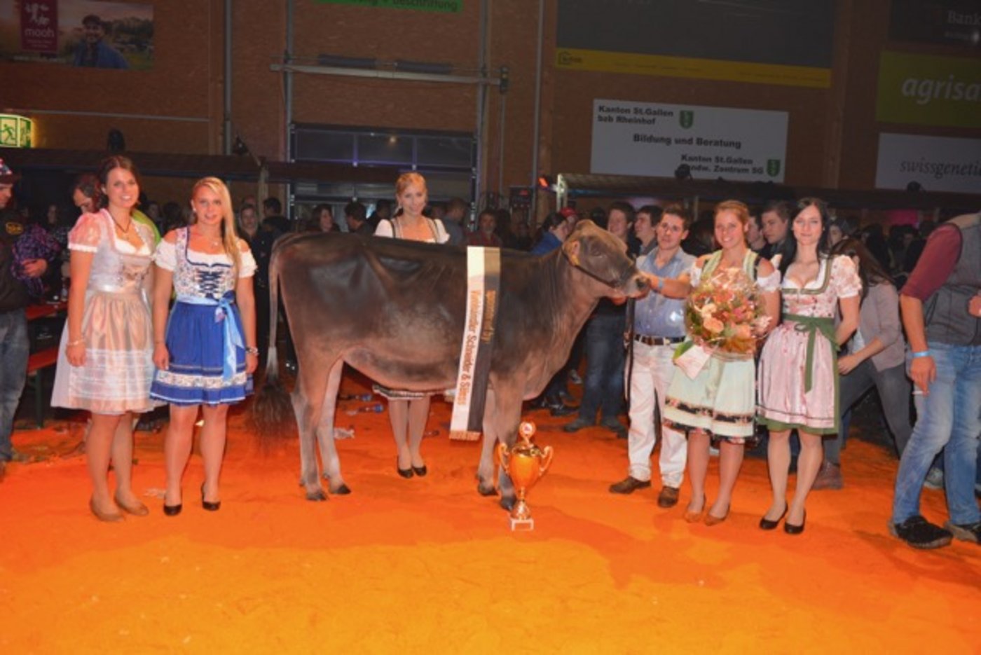 Jet Alana von Werner Züger aus Vorderthal SZ gewann am GP 2017. (Bild zVg) 