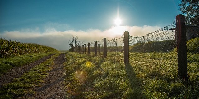 Das Green-Paper ist Laut Laka ein klares Zeichen dafür, dass die Landwirtschaft die Anliegen und Wünsche der Bevölkerung als Leitplanken nimmt. (Bild Pixabay)