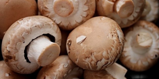 Von Januar bis August 2020 wurden gegenüber dem Vorjahr 10 Prozent mehr Schweizer Frisch-Champignons verkauft. (Bild Pixabay)