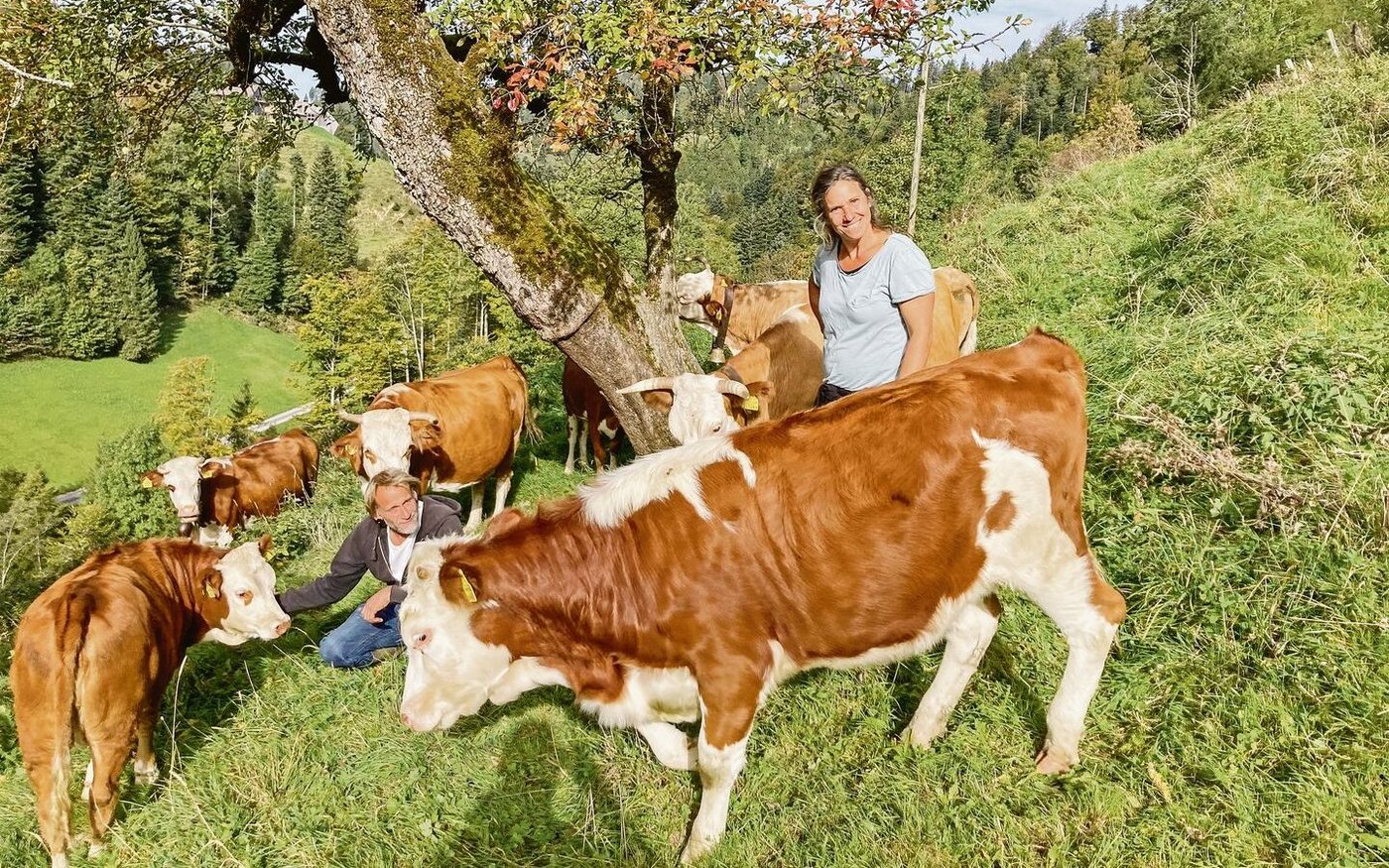 Jörg und Tamara Stoller vom Biohof Grossegg mit ihren stämmigen Hinterwälderkühen. Sämtliche Produkte vom Betrieb werden direktvermarktet. Die Nähe zum Ballungsgrossraum Zürich und Winterthur macht es möglich. 