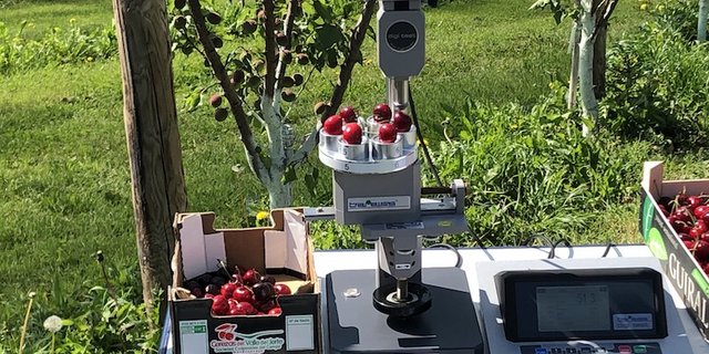 Dieser Prototyp wurde von der Tobi Seeobst entwickelt, um die Festigkeit von Kirschen zu ermitteln. (Bilder und Video et)