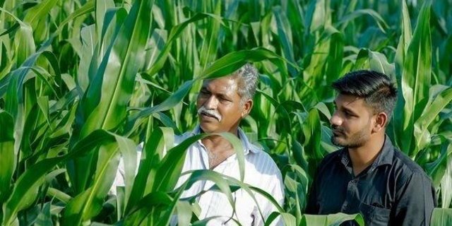 Syngenta übernimmt Verantwortung durch Ausbildung von Bauern in der ganzen Welt / Weiterer Text über ots und www.presseportal.ch/de/nr/100080951 / Die Verwendung dieses Bildes ist für redaktionelle Zwecke honorarfrei. Veröffentlichung bitte unter Quellenangabe: (Bild Syngenta AG)