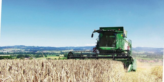 Bei der Interessenabwägung unterlegen: Fruchtfolgeflächen, auf denen Getreide zur Ernährungssicherung geerntet werden kann. 