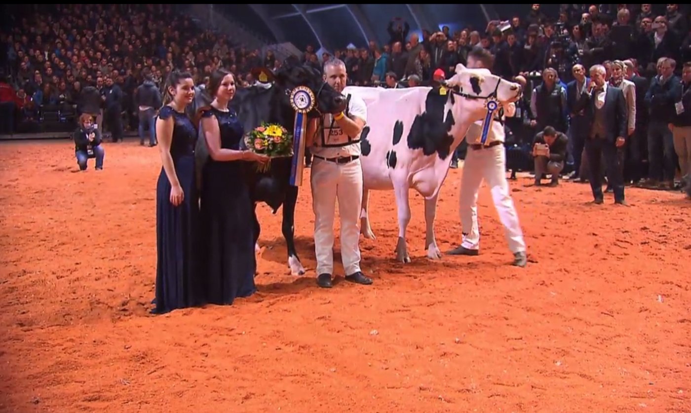 Links die Senior und Grand Champion Du Rahun Chelios Heline von Junker, Staub und AL.BE.RO., und die Reserve Sunibelle Dempsey Espirit von von Känel, Sudan, Jones, Conroy, Serrabassa und Agriber.