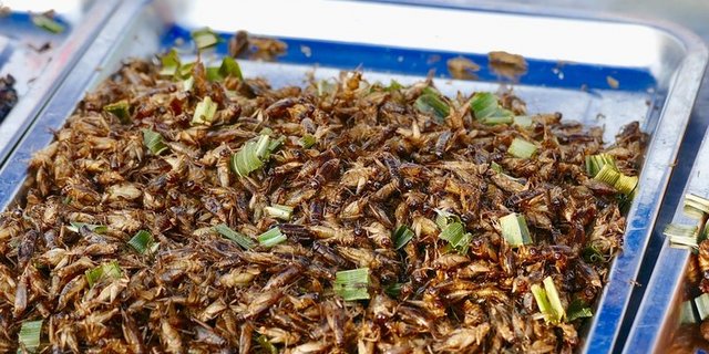 Bisher waren Insekten für die menschliche Nahrung eher unbeliebt. Vielleicht sind sie allerdings bald wichtig für die Fleischproduktion. (pixabay)