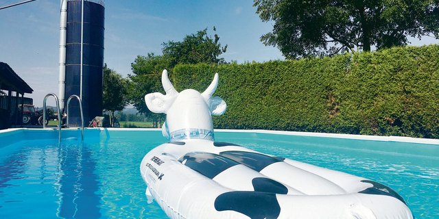 Es hat sich ausgeplanscht auf Schweizer Bauernhöfen: Neue Swimmingpoolanlagen werden allerhöchstens noch in Ausnahmefällen bewilligt.(Bild Armin Emmenegger)