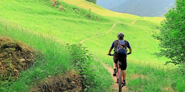 Biker wollen nicht nur auf befestigten Wegen fahren. Ob auf Wanderwegen durch Wiesen und Weiden auch Biker toleriert werden, wird regional sehr unterschiedlich gehandhabt. 