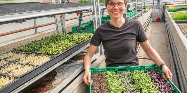 Barbara Schmid verkauft ihre Microgreens an Gastronomen und auf dem Wochenmarkt. (Bild lid)