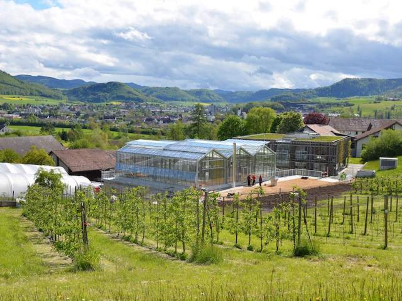 Das Gewächshaus auf dem FiBL-Gelände inmitten der Jurahügel. (Bild FiBL, Andreas Basler)