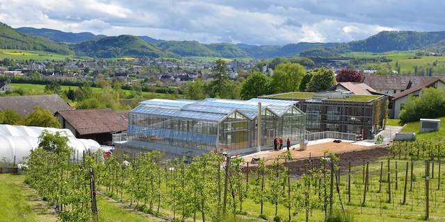 Das Gewächshaus auf dem FiBL-Gelände inmitten der Jurahügel. (Bild FiBL, Andreas Basler)