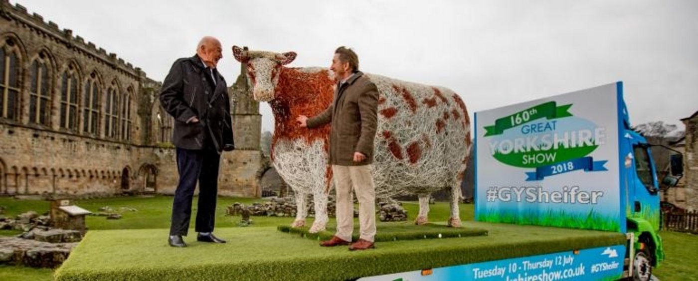Das Rind soll über zwei Meter gross gewesen sein. (Bild ZvG)