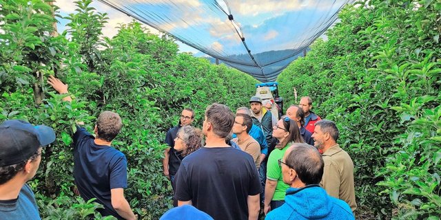 Die Teilnehmenden begutachten die Anlagerung der ungiftigen Test-Spritzbrühe auf den Blättern in der Obstanlage in Hitzkirch. 